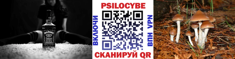 закладки  Абинск  Псилоцибиновые грибы MAGIC MUSHROOMS 